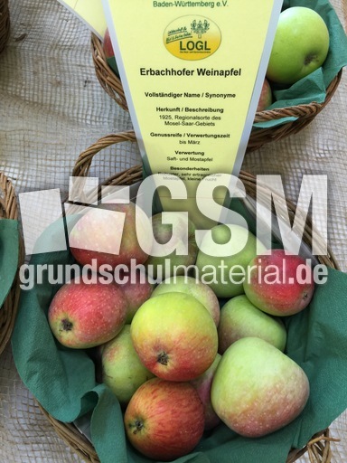 Erbacher Weinapfel.jpg